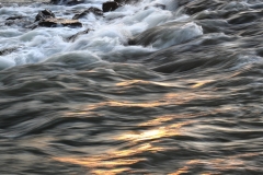 Un fiume d'oro [Simone Rossini]